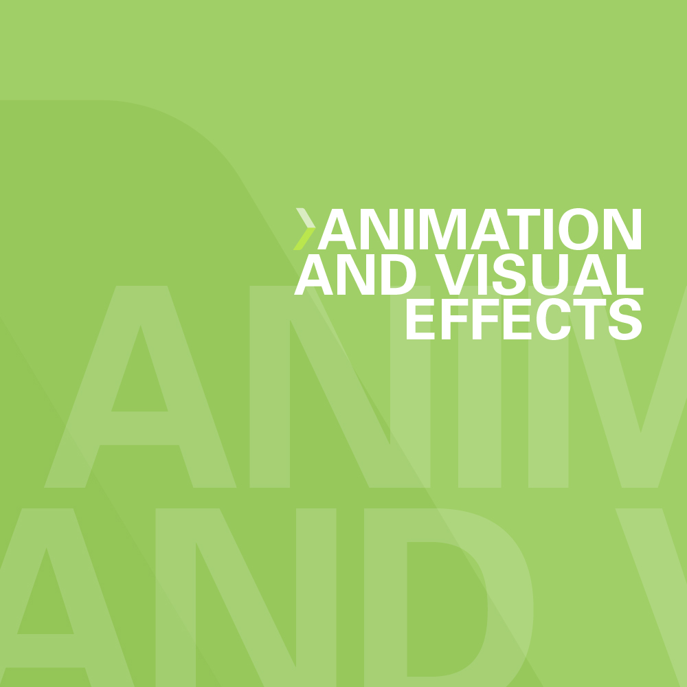 Animation and Visual Effects