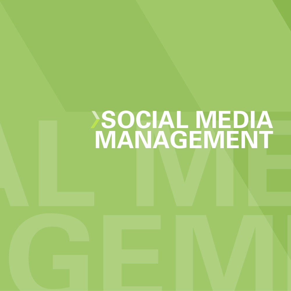 Social Media Management