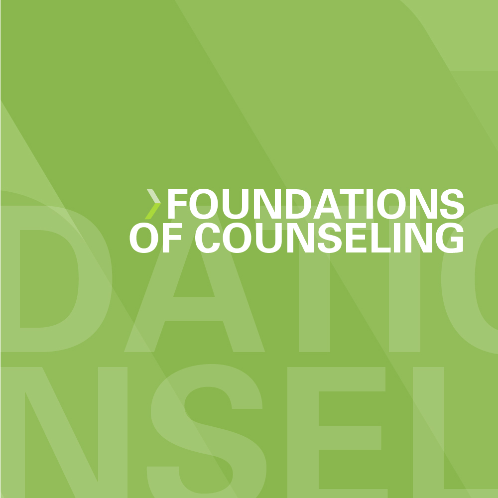 Foundations of Counseling: Theory, Skills, and Practice