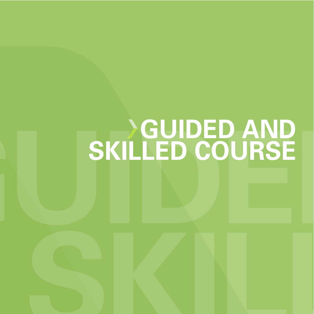 Guided and Skilled Course: Supporting Inclusive Classroom