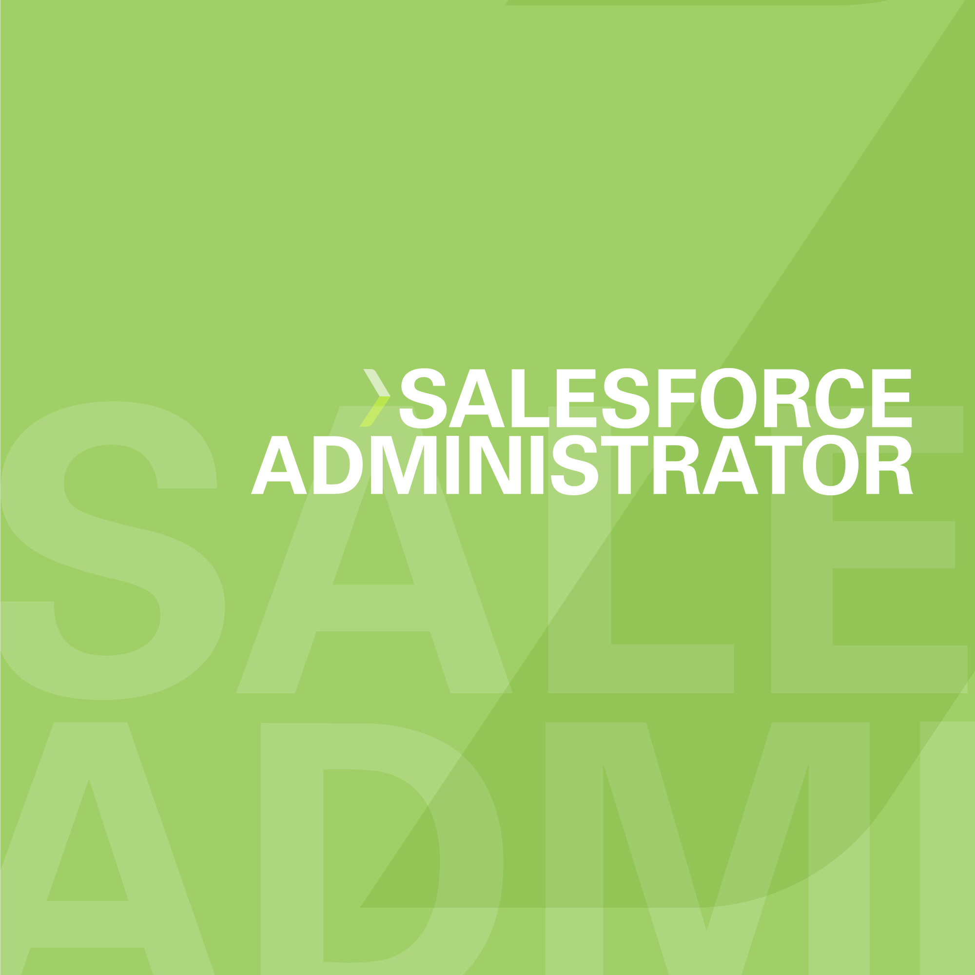 Salesforce Administrator Program